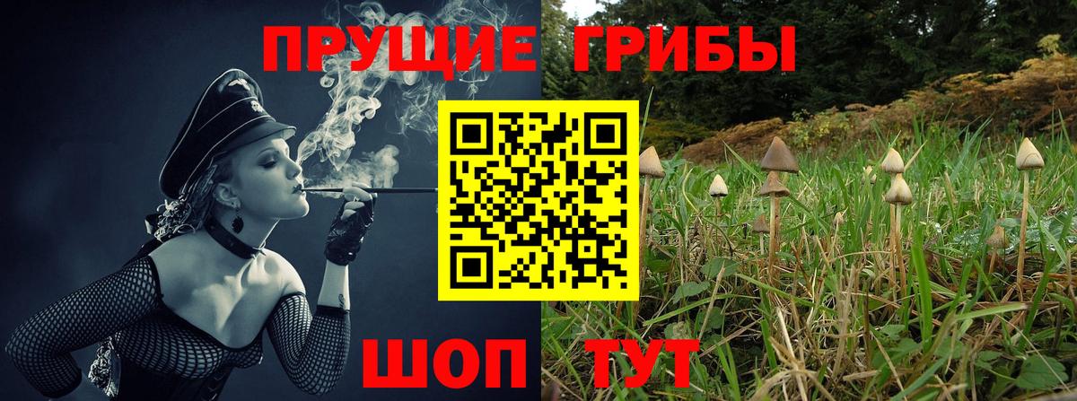 Галлюциногенные грибы прущие грибы  Вход с VPN  Дивногорск 